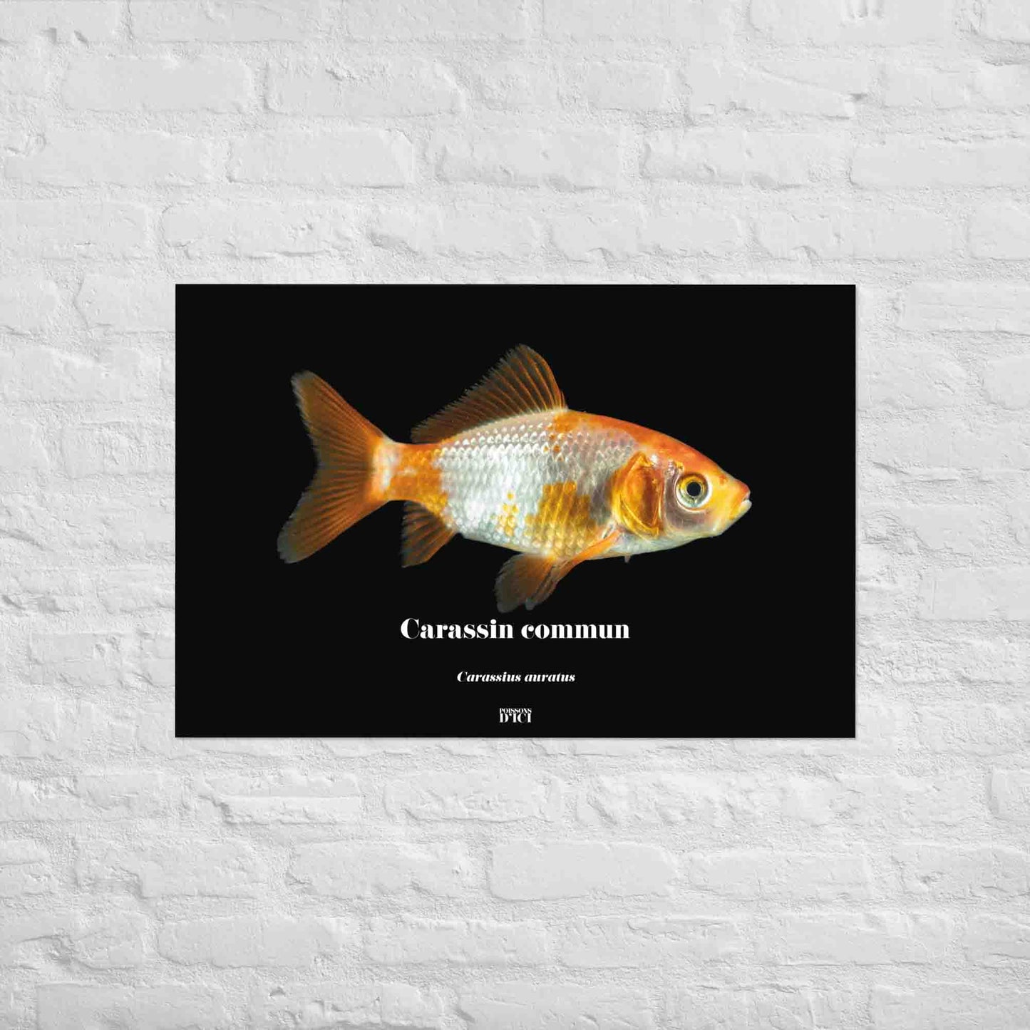 poisson artistique, affiche sur la nature, art mosaique, poster, peche