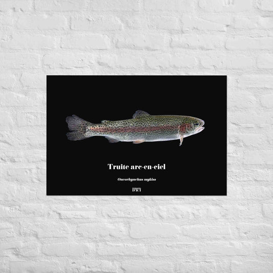 truite, poisson artistique, affiche sur la nature, art, poster, peche
