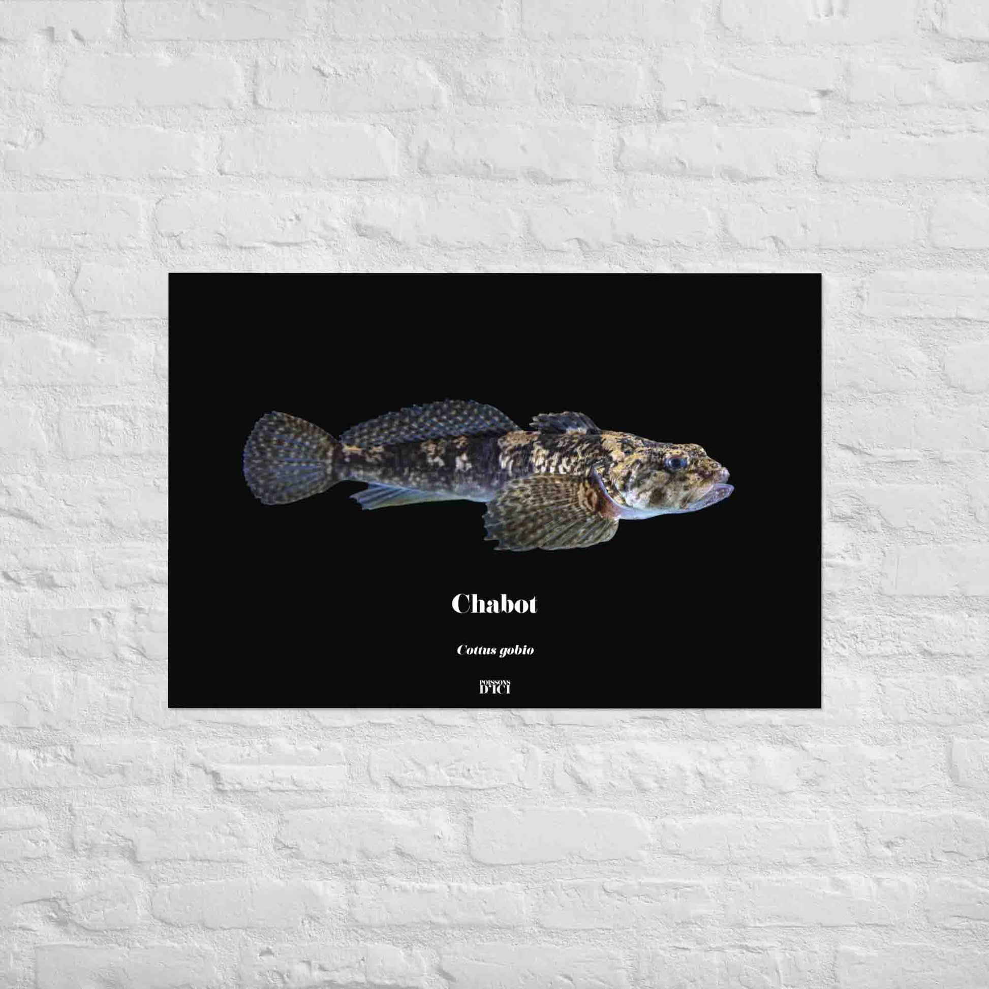 poisson artistique, affiche sur la nature, art mosaique, poster, peche