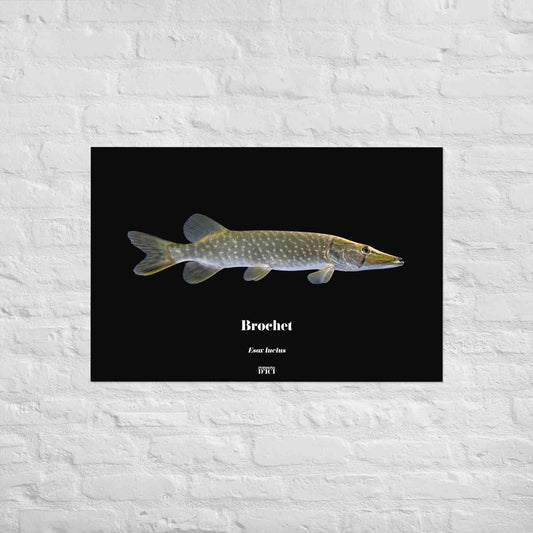 poisson artistique, affiche sur la nature, art mosaique, poster, peche, brochet, carnassier