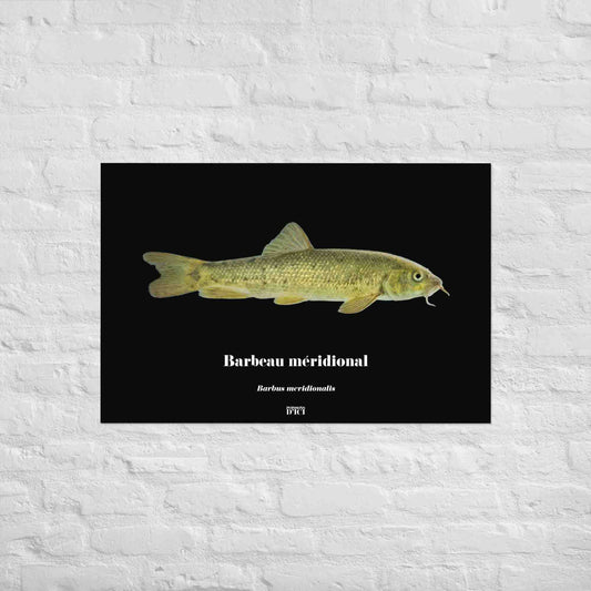 poisson artistique, affiche sur la nature, art mosaique, poster, peche, barbeau, or, dore