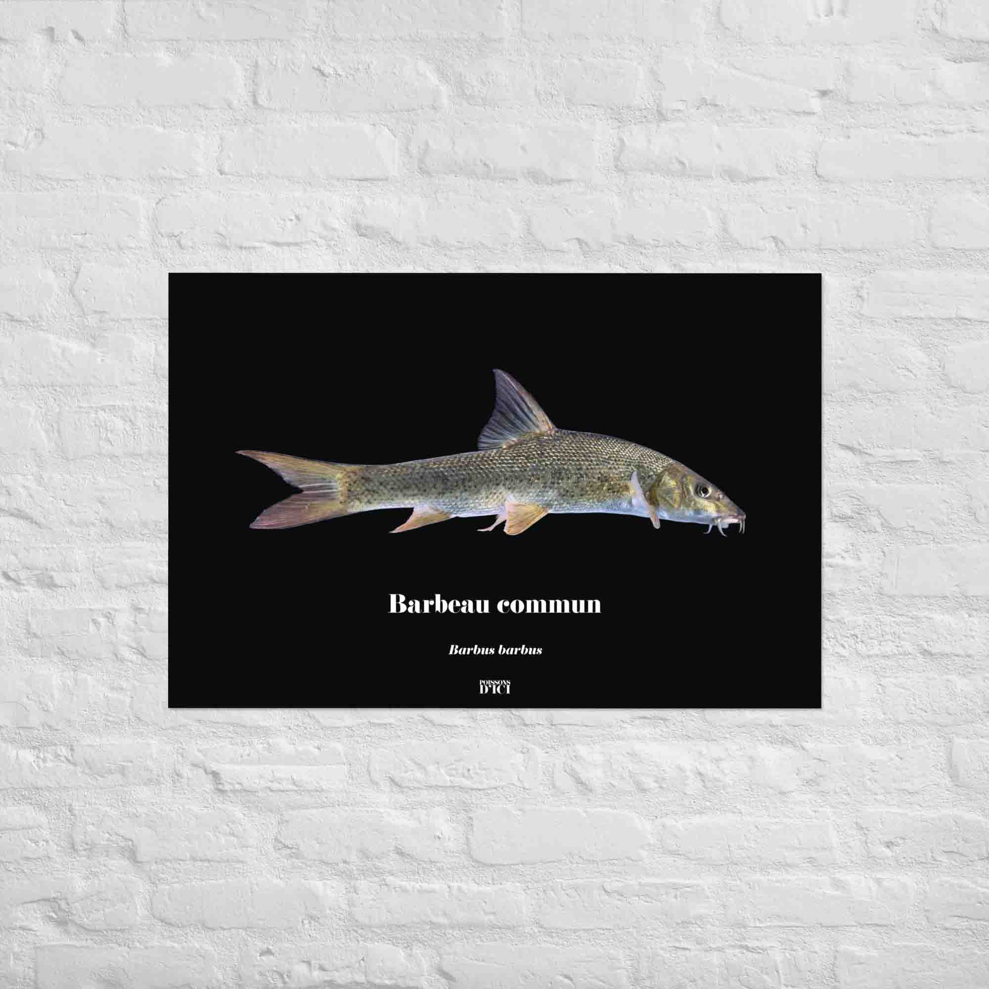 poisson artistique, affiche sur la nature, art mosaique, poster, peche, barbeau