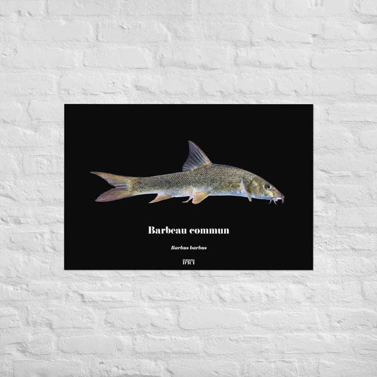 poisson artistique, affiche sur la nature, art mosaique, poster, peche, barbeau